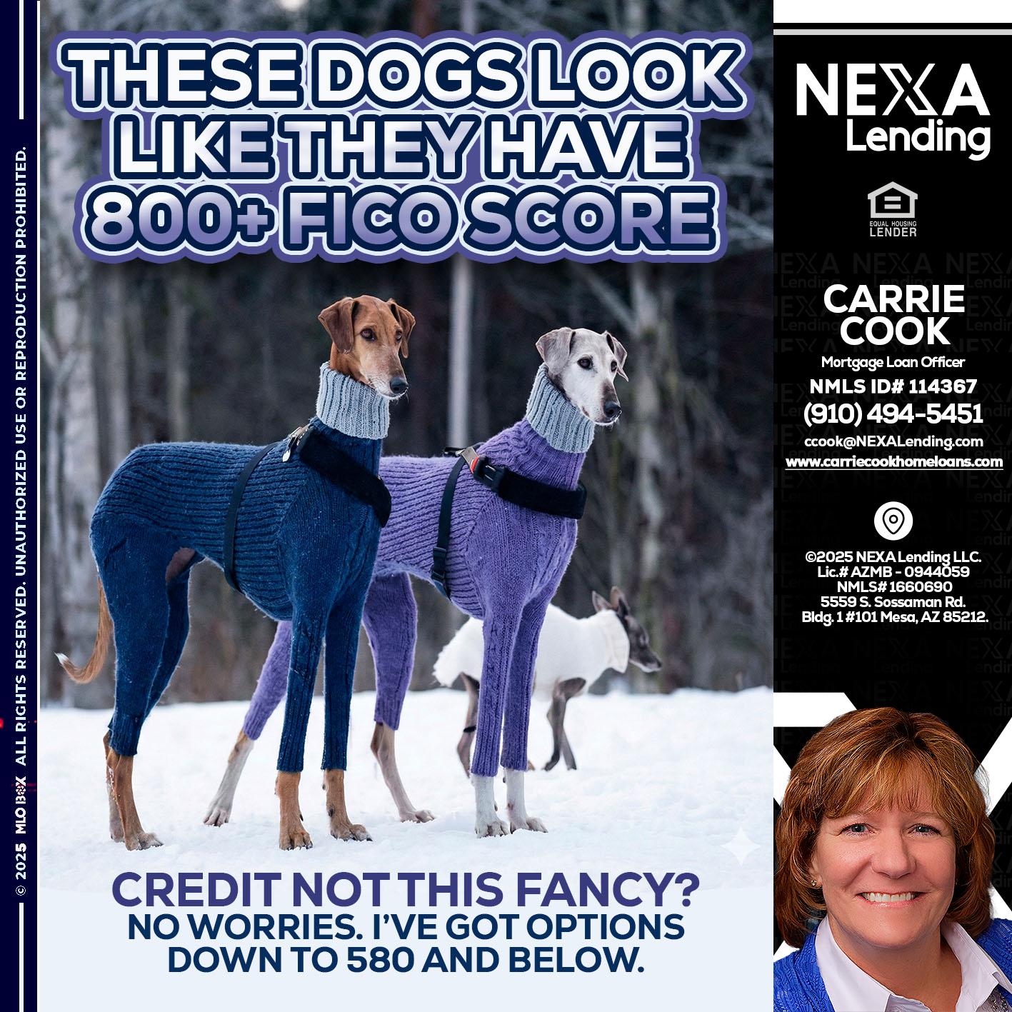 THESE DOGS LOOK - Carrie Cook -Mortgage Loan Officer